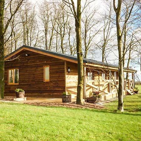 Valley View Lodge Trelystan Экстерьер фото